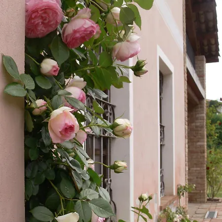 乡村民宿 伊莎贝拉旅馆 Vaglio Serra