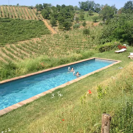 乡村民宿 伊莎贝拉旅馆 *