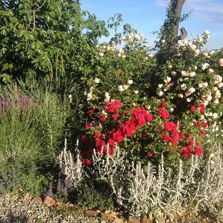 Εξοχικό σπίτι Casa Isabella