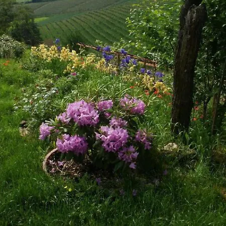 伊莎贝拉旅馆 Vaglio Serra