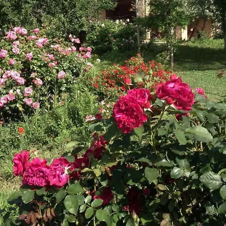 Casa Isabella Εξοχικό σπίτι *