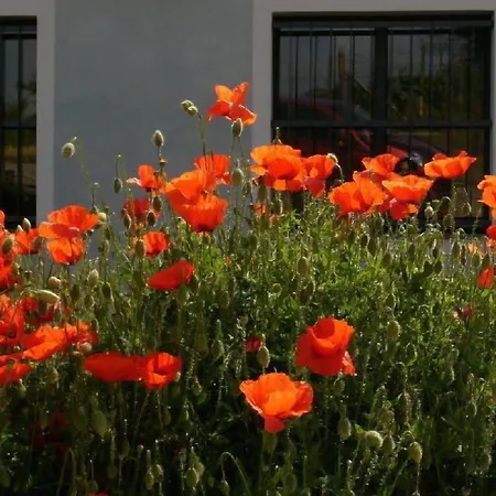 Εξοχικό σπίτι Casa Isabella Vaglio Serra