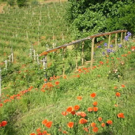 Εξοχικό σπίτι Casa Isabella Vaglio Serra