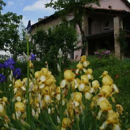Casa Isabella Εξοχικό σπίτι Vaglio Serra