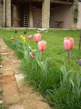 伊莎贝拉旅馆 Vaglio Serra