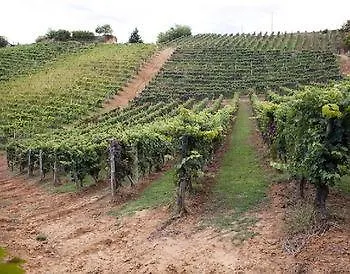 伊莎贝拉旅馆 Vaglio Serra