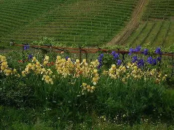 Εξοχικό σπίτι Casa Isabella