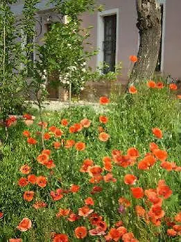 Casa Isabella Casa rural *